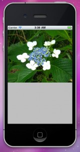 uiimage6