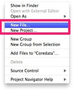 coredata-xcode40-1 coredata-xcode40