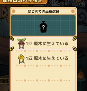 「はじめての品種改良」が開始 なめこ栽培キットDeluxe おとりよせ13年9月イベント