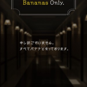 脱出ゲーム バネーナ 攻略方法